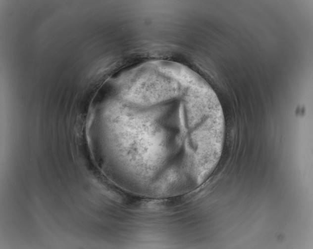 X0000090890078200708171714