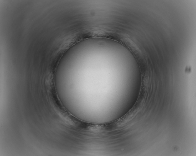 X0000090890079200708171714