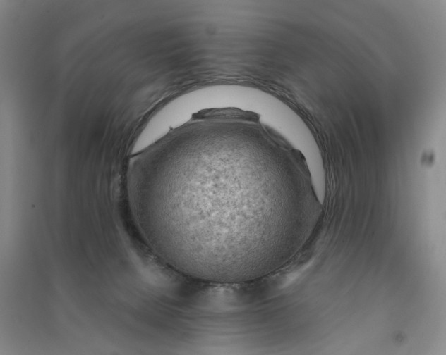 X0000090890080200708171714