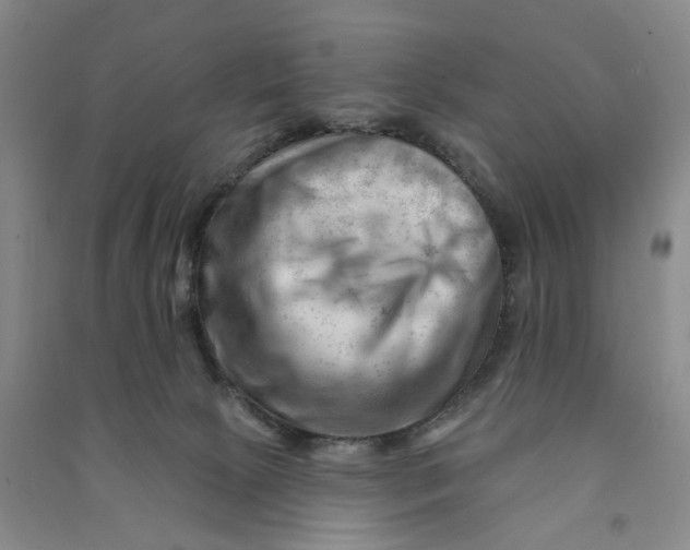 X0000090890081200708171714