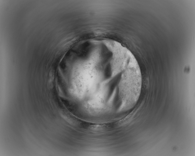 X0000090890082200708171714