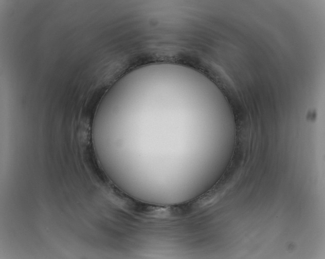 X0000090890083200708171714