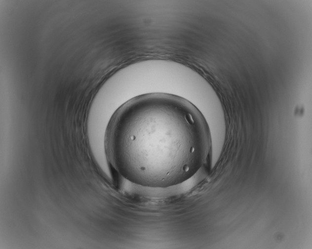 X0000090890084200708171714