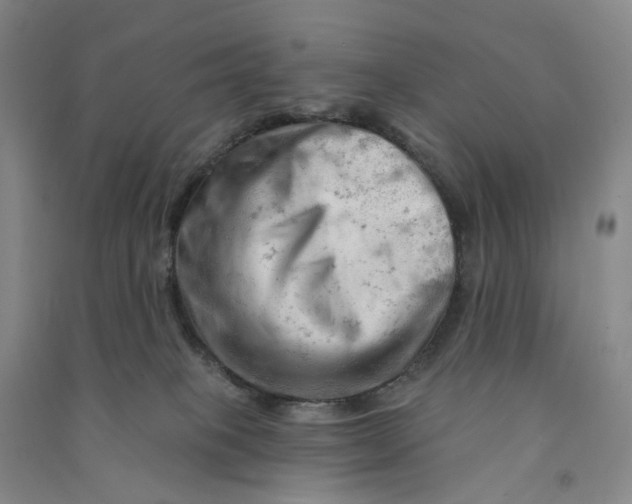 X0000090890085200708171714