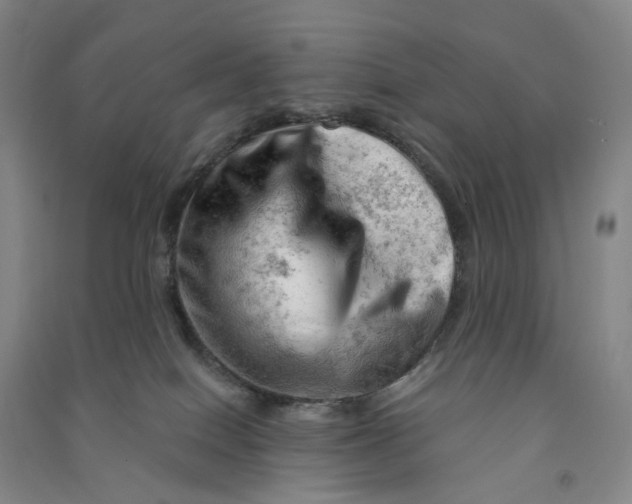 X0000090890086200708171714