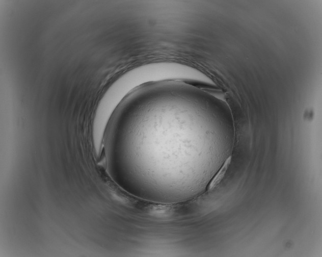 X0000090890088200708171714