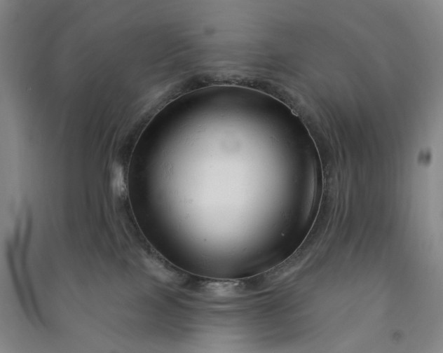 X0000090890089200708171714