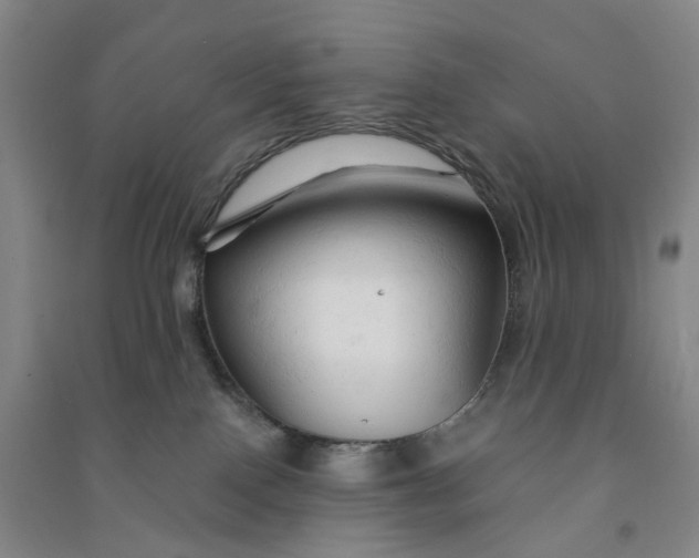 X0000090890090200708171714