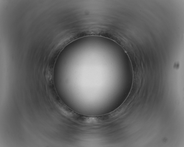 X0000090890091200708171714