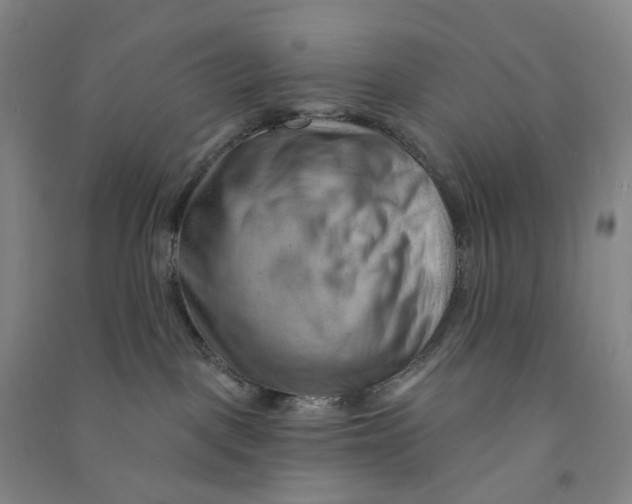 X0000090890093200708171714