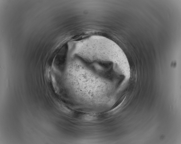 X0000090890094200708171714