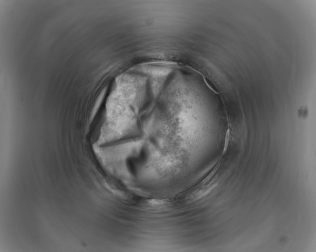 X0000090890095200708171714