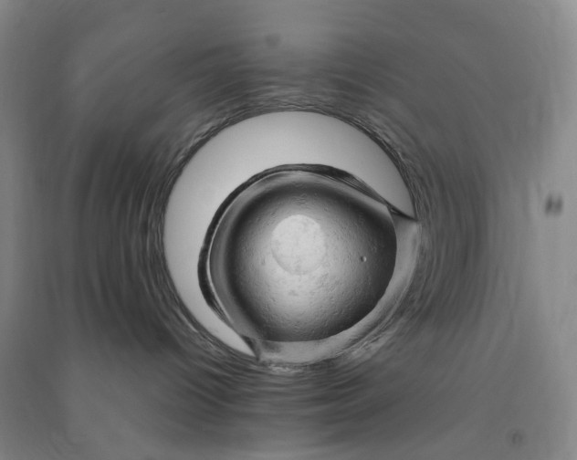 X0000090890096200708171714