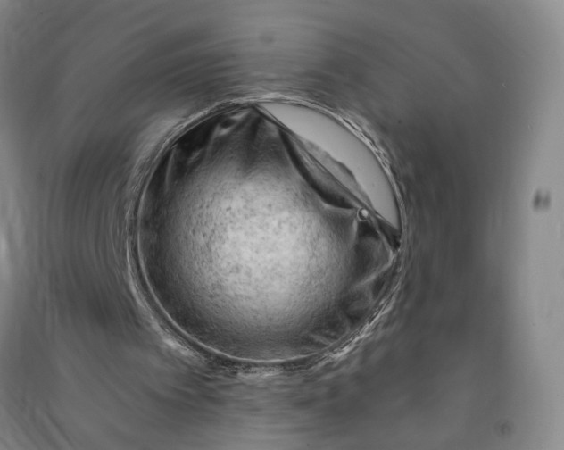 X0000090890097200708171714