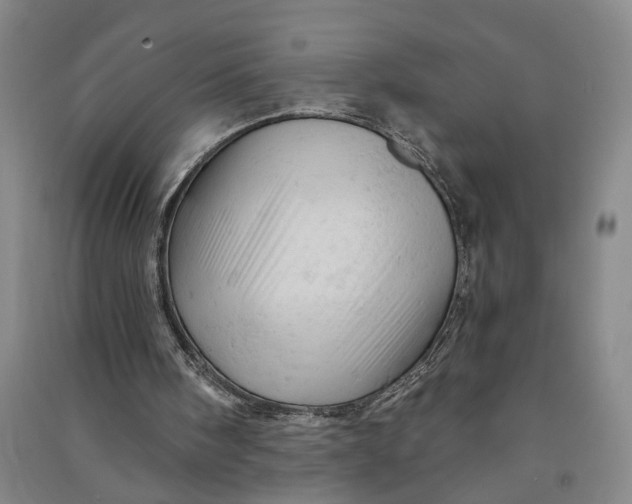 X0000090890098200708171714