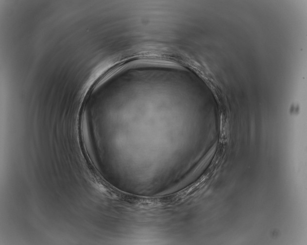 X0000090890099200708171714