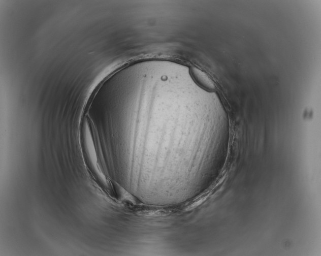 X0000090890100200708171714