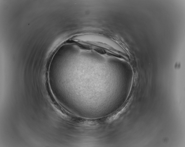 X0000090890101200708171714