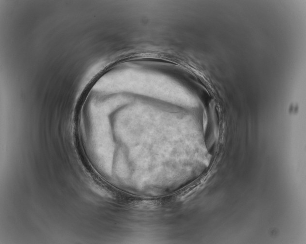 X0000090890102200708171714