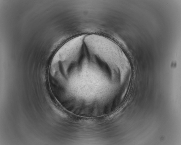 X0000090890106200708171714