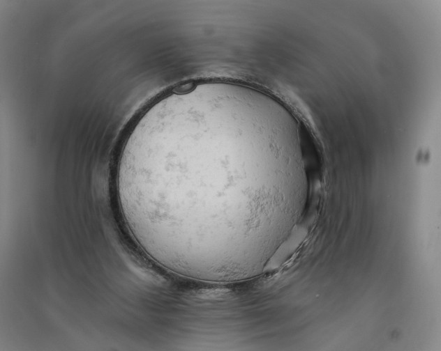 X0000090890108200708171714