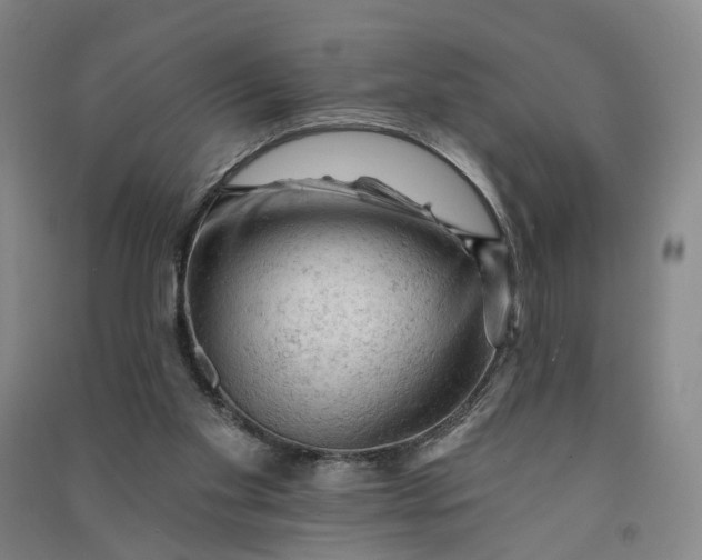 X0000090890109200708171714