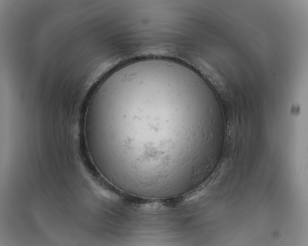 X0000090890112200708171713