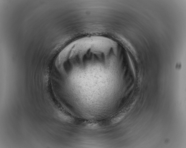 X0000090890113200708171713