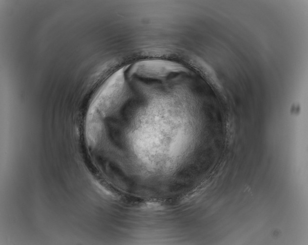 X0000090890114200708171713