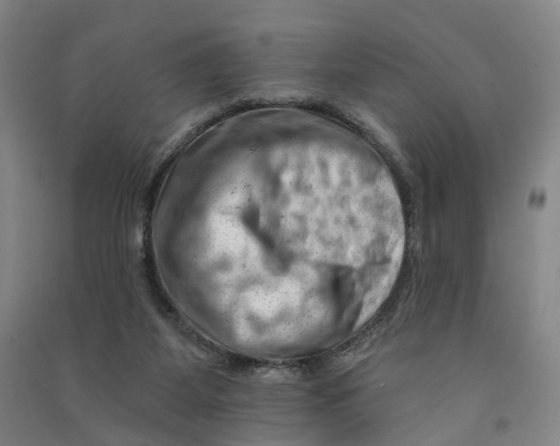 X0000090890115200708171713