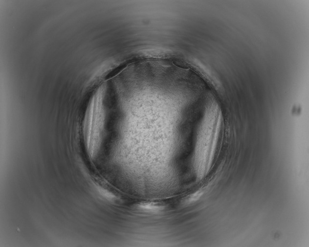 X0000090890117200708171713