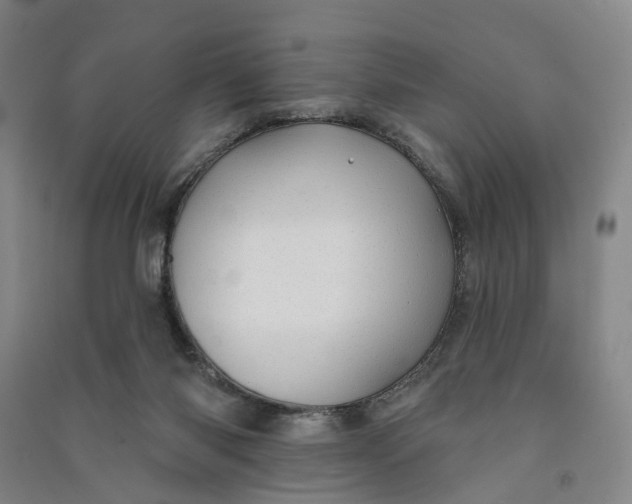 X0000090890118200708171713