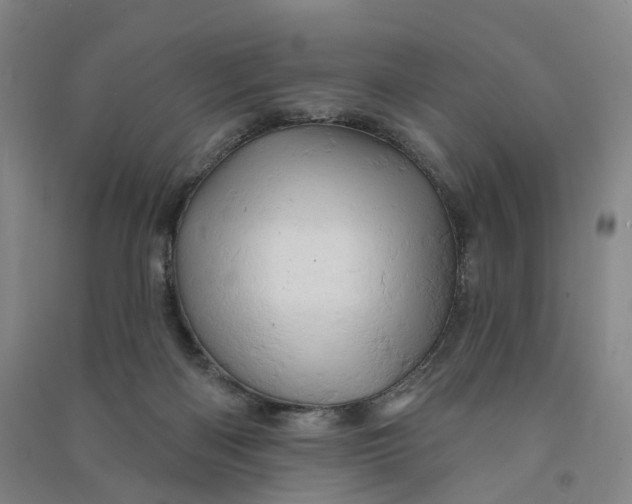 X0000090890122200708171713