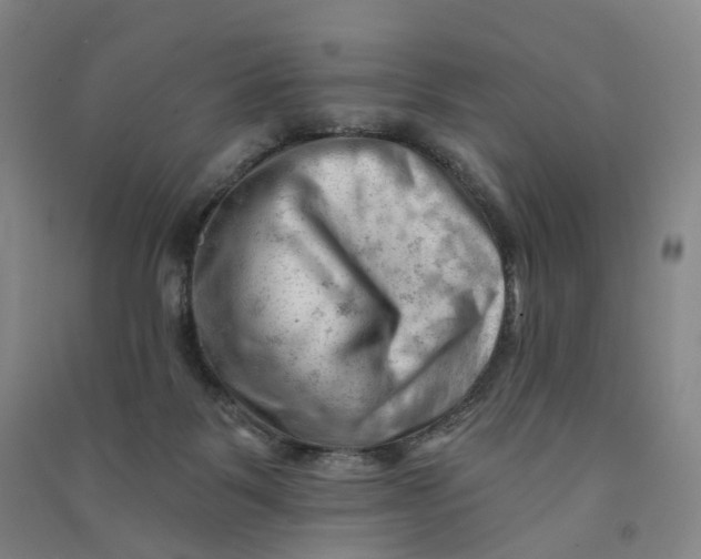 X0000090890123200708171713