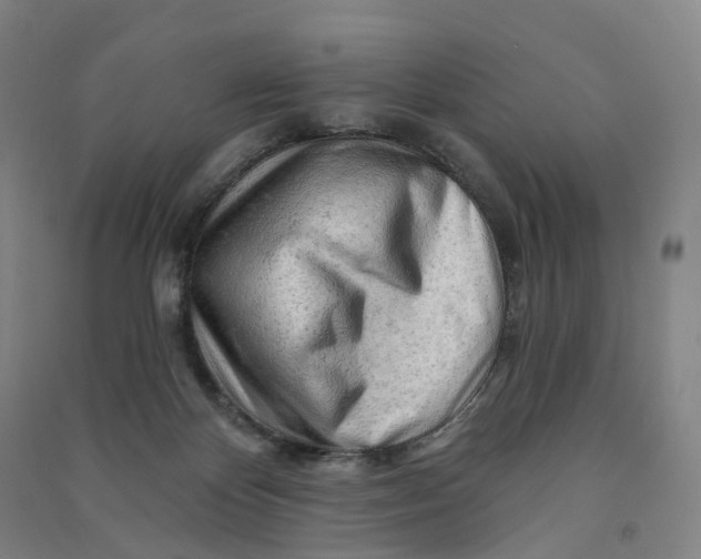 X0000090890124200708171713