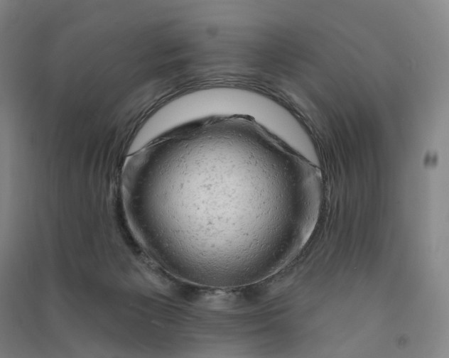 X0000090890125200708171713