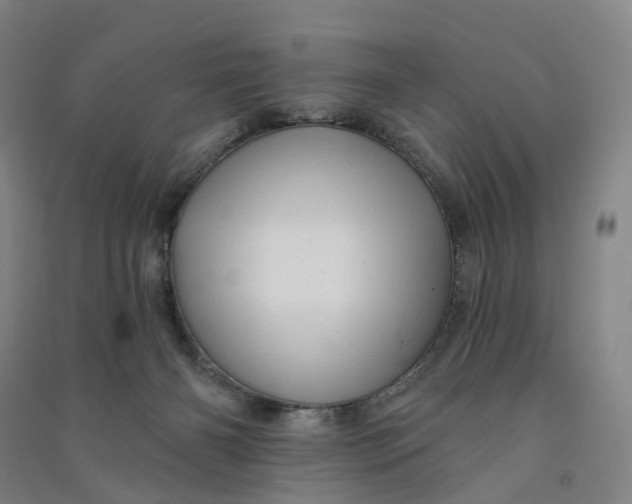 X0000090890126200708171713