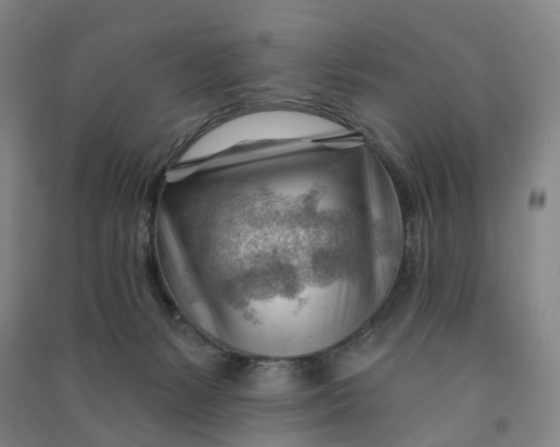 X0000090890127200708171713