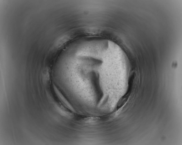 X0000090890128200708171713