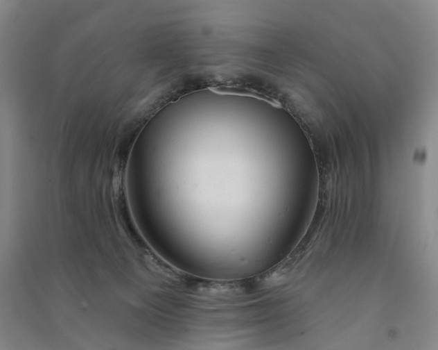 X0000090890129200708171713