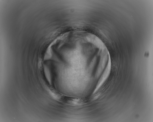 X0000090890130200708171713