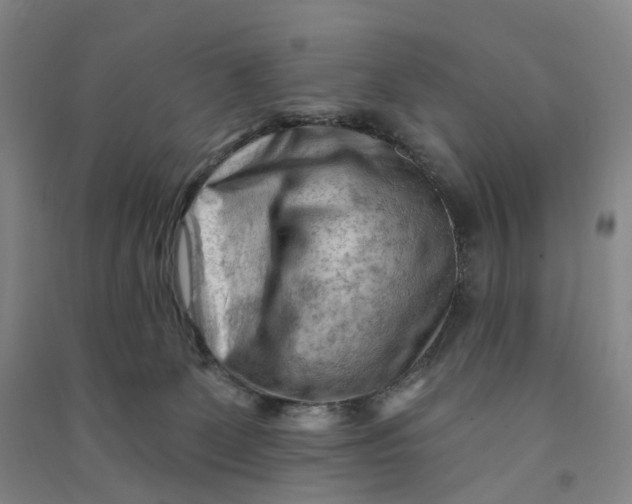 X0000090890131200708171713