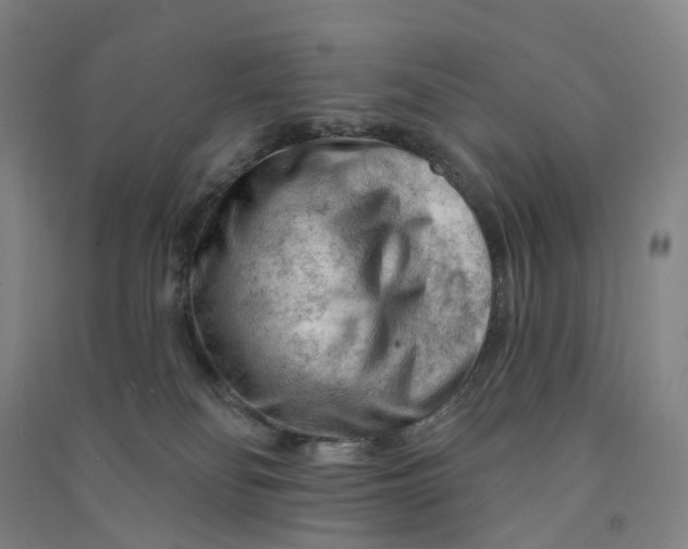 X0000090890134200708171713