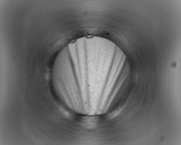 X0000090890135200708171713