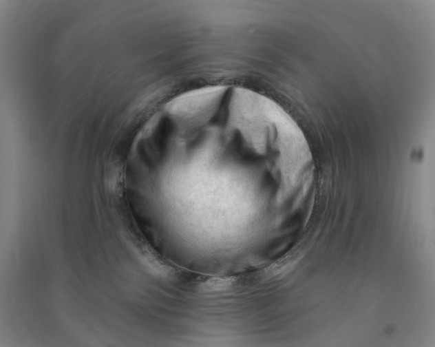 X0000090890138200708171713