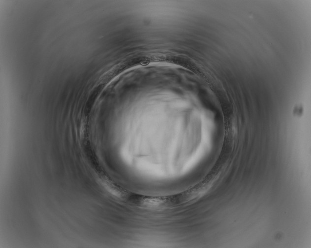 X0000090890139200708171713