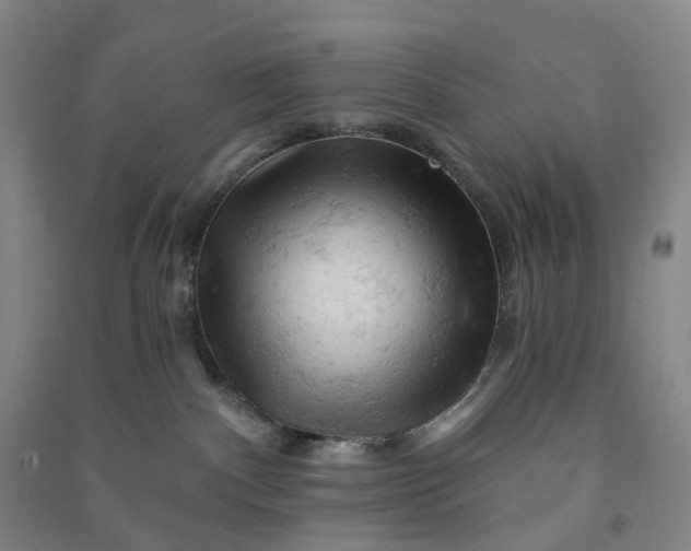 X0000090890140200708171713