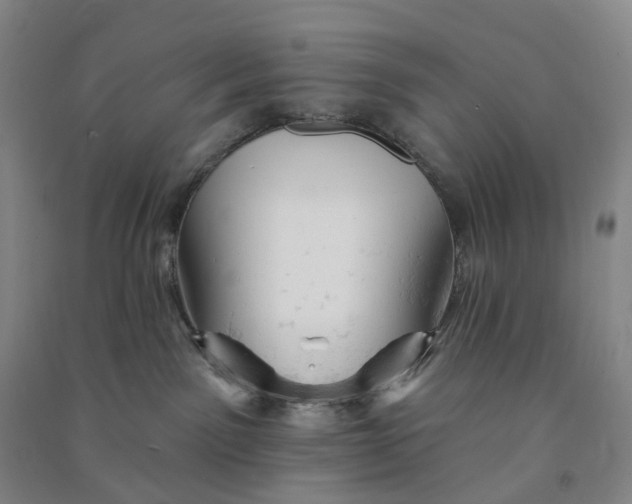 X0000090890141200708171713