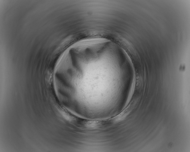 X0000090890142200708171713