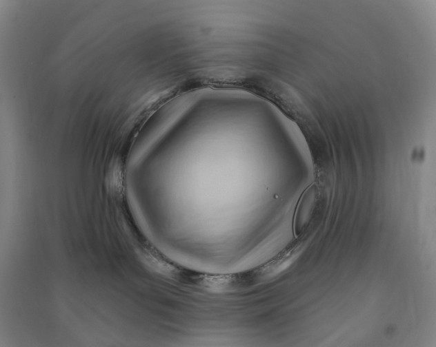 X0000090890143200708171713